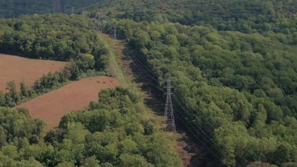 航空写真 現代の電力網 伝送の柱 なだらかな丘の斜面に美しい生い茂った落葉山の森林を通る直線で実行されている高圧送電線の上を飛んでください — ストック動画