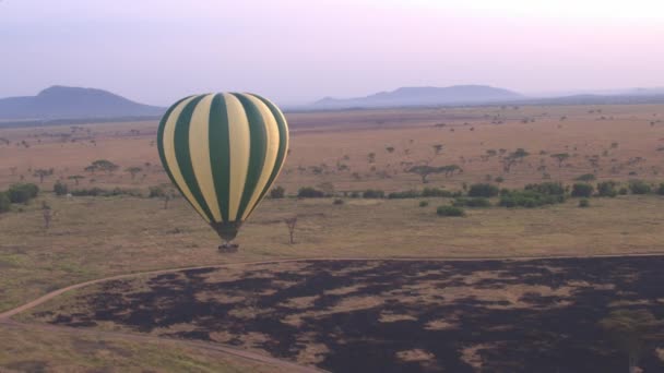 Luchtfoto Safari Hete Lucht Ballon Stijgen Hoog Boven Overgrote Neverending — Stockvideo