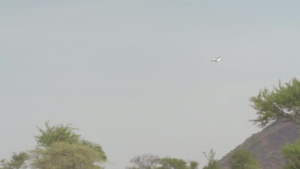 Vista Del Ángulo Bajo Turistas Lujosa Planicie Privada Charter Volando — Vídeos de Stock