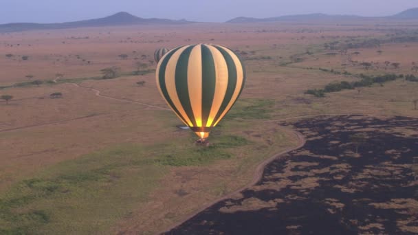 Anténa Safari Horkovzdušný Balón Sjezdy Přistání Savannah Spálené Louky Pole — Stock video