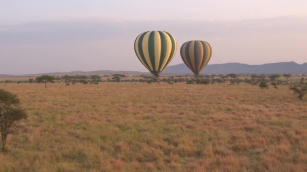 Antenna Zár Megjelöl Safari Hőlégballon Végtelen Rövid Füves Szavanna Területen — Stock videók