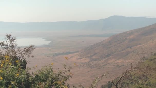 Antenn Hisnande Utsikt Över Ngorongoro Conservation Area Från Kanten Vulkanisk — Stockvideo