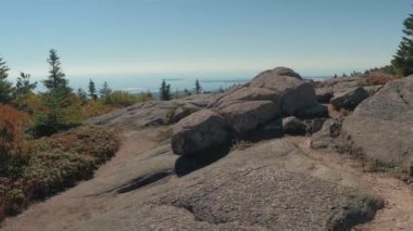 Kadar yakın granit kaya oluşumları üst kısmında Mount Desert Island. Düşük bitki örtüsü, yemyeşil düşmek yeşillik çalılar ve Genç çam ağaçları Kuzey Atlantik Okyanusu kıyısında yukarıda dağda sonbahar güneşli günde