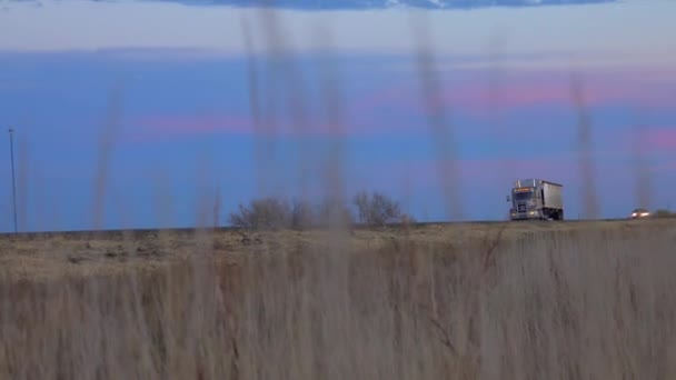 Close Kijken Naar Pittoreske Landelijke Weg Achter Gras Messen Vee — Stockvideo