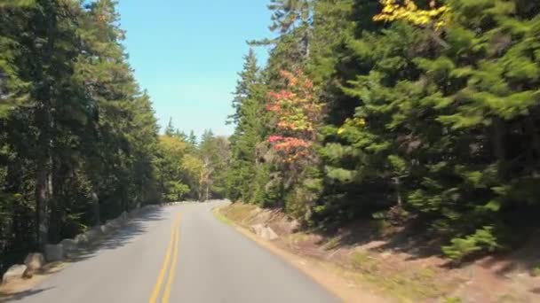 秋の紅葉を通して国の道路に沿って運転 Fpv クローズ アップ 混合落葉樹と針葉樹の森の晴れた秋の日に 鬱蒼とした森を介してカービング風光明媚な道路の道路の旅の人々 — ストック動画