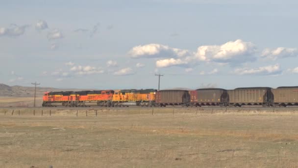 Billings Montana Ottobre 2016 Chiusura Locomotiva Carro Merci Carico Carbone — Video Stock