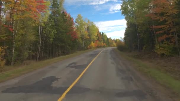 Fpv Traveling Empty Countryside Highway Turning Fall Foliage Leaves Woods — Stock Video