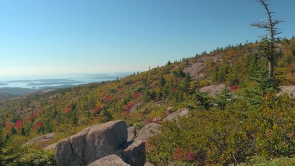 Fermer Belle Vue Sur Océan Atlantique Nord Parsemée Îles Boisées — Video