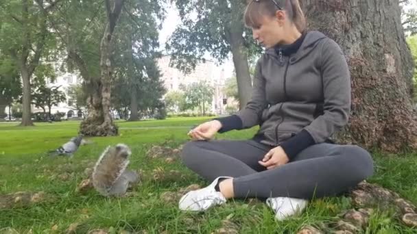 Fermer Écureuils Sauvages Intrépides Pigeons Qui Courent Autour Jeune Femme — Video