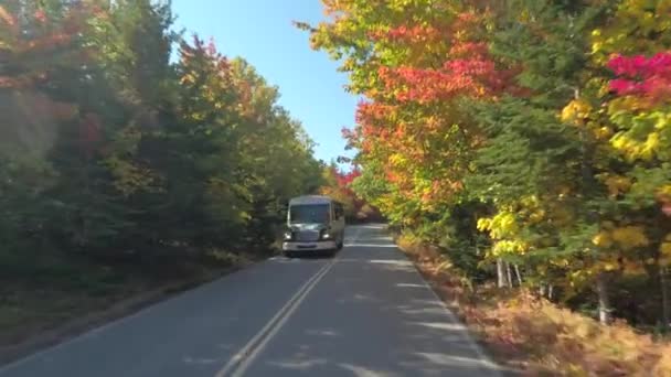 アカディア国立公園 メイン 米国に晴れた秋の日秋葉の森カービング風光明媚な国の道路に沿って運転する観光バスで Fpv クローズ アップ 高速道路を走る乗り物 — ストック動画