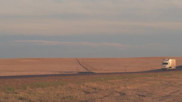 Cerrar Camión Semirremolque Contenedores Carga Ganado Que Transporta Animales Vivos — Vídeo de stock