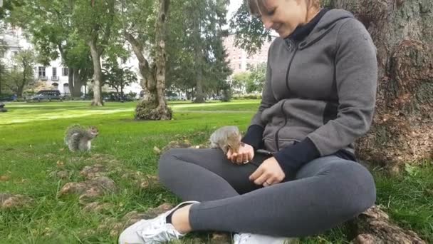 클로즈업 두려움 다람쥐가 공원의 잔디밭에 손에서 씨앗을 가져가는 주위를 뛰어다닌다 — 비디오