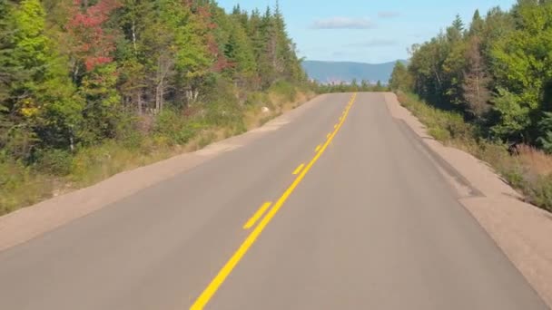 Pov Close Osób Podróżujących Wzdłuż Autostrady Pusty Przez Rozległe Lasy — Wideo stockowe