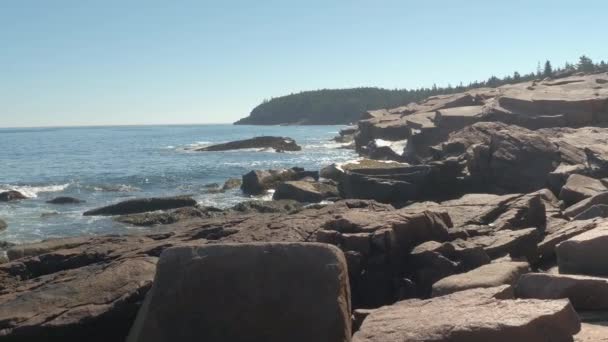 Fechar Gaivotas Arrefecer Afloramentos Granito Costa Jagged Oceano Atlântico Norte — Vídeo de Stock