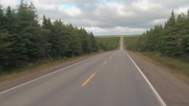POV, Close Up: yemyeşil yoğun Tayga ormanı Cape Breton Highlands milli park, Amerika Birleşik Devletleri büyümüş plato üzerinde çalışan boş karayolu. Büyük Ladin woodland sonsuz ovalarda geçen yol