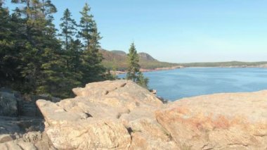 Yakın: Yemyeşil çam ağaçları ve karışık renkli sonbahar yaprakları yaprak döken orman Acadia Milli Parkı, Maine, Amerika'nın rocky engebeli kıyı kapsayan. Ormanlık Adası ve Kuzey Atlantik Okyanusu koyu