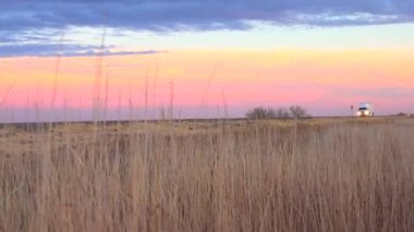 Yakın: doğal kırsal kırsal yol çimen bıçaklar arkasından bakarak. Yük konteyner yarı kamyon karayolu boyunca muhteşem gül pembe günbatımında Great Plains, ABD'de sürüş mal nakliye