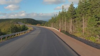 POV, Close Up: güneşli günde büyük yoğun Ladin woodland çalışan dağ geçidi yolu boyunca seyahat. Yolculuğa Cape Breton Adası, Kanada deniz doğru boreal ormanı