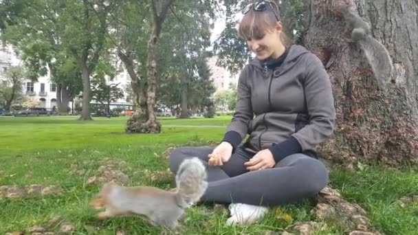 Närbild Orädd Wild Gänget Springer Runt Ung Kvinna Sitter Gräset — Stockvideo