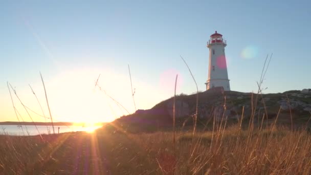 Mooie Louisbourg Vuurtoren Staande Rotsachtige Met Gras Begroeide Kust Stijgt — Stockvideo