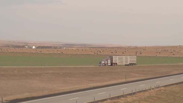 Antenowe Zbliżenie Pływające Powyżej Ciężarówki Naczepy Transport Zwierząt Rzeźni Przejeżdżania — Wideo stockowe