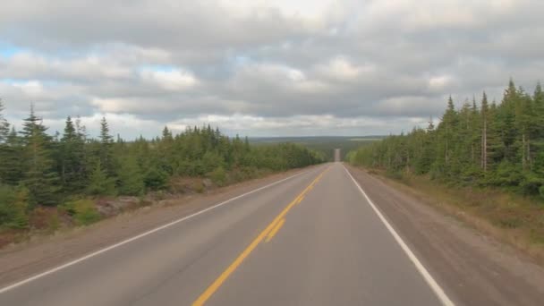 Pov Close Estrada Vazia Que Atravessa Exuberante Floresta Densa Taiga — Vídeo de Stock