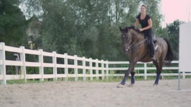 Ağır çekim, Dof: kadın binici Binicilik güzel koyu kahverengi aygır gül pembe ışık şafak, kumlu açık modacı cantering gülümseyerek. Neşeli kadın ata binme arena ile eğitim