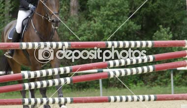 Ağır çekim yakın çekim: Ayrıntı at bacakları cesurca açık sürme arenada atlama yarışma sırasında dikey çitin üzerinden atlama. Mare görgü ve stadyum atlama yapmak tarzı