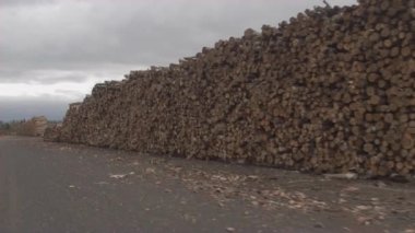 Anteni, Close Up: Mükemmel yığılmış günlük woodpiles karışık orman kenarında çakıl yol boyunca uzun satırları. Büyük yığın alanını fırtınalı gökyüzü altında yatan hazırlanmış ve kesme kereste