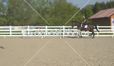 Yakın: güzel koyu kahverengi iğdiş edilmiş hayvan cesurca açık sürme arenada paça yan görünüm. Genç kadın Binicilik koca aygır kırsal at çiftliği üzerinde gün güneşli yaz kumlu padok içinde