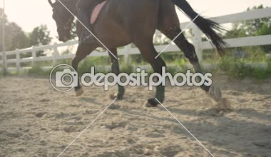 Yakın kadar ağır çekim, Dof: Detayını kumlu binicilik arena cantering polos ile güvenli at kalıyor. Aygır tanınmaz binici açık modacı bir yarışması için egzersiz çalışan ile
