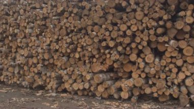 Anteni, Close Up: Mükemmel yığılmış günlük woodpiles karışık orman kenarında çakıl yol boyunca uzun satırları. Büyük yığın alanını fırtınalı gökyüzü altında yatan hazırlanmış ve kesme kereste