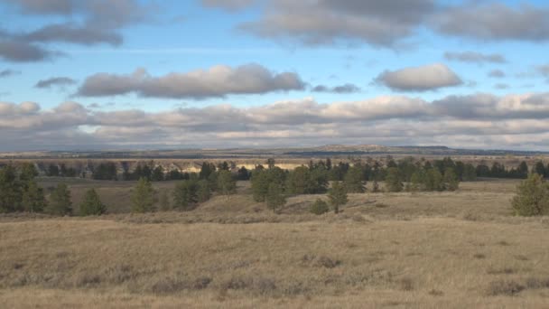 Aerial Close Flying Dry Short Grass Fields Picturesque Forested Hilly — Stock Video