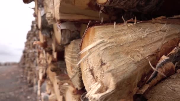 FERMER : Détail d'un bois et écorce déchiquetés, texture bois, un beau motif naturel créé avec pile parfaitement empilée de bois de chauffage. Grumes coupées, délimitées et préparées en gros tas de bois 