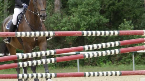 Slow Motion Close Rincian Kaki Kuda Melompat Dengan Berani Atas — Stok Video