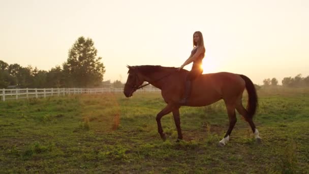 慢动作 美丽的年轻白种人女孩与长长的金发赤裸骑在雾蒙蒙的早晨在草地上的棕色马在金色日出 日落时轻松的夜游 — 图库视频影像