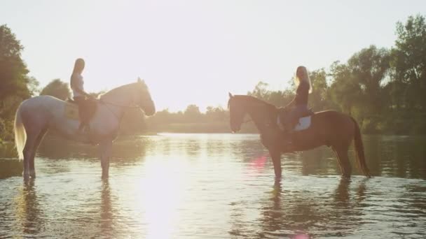 Close Slow Motion Silhouette Two Pretty Girls Riding Brown Gelding — Stock Video