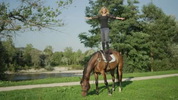 スローモーション 閉じる のDof 陽気若い女性の腕を伸ばして馬の背中に立ってトリックを行う 美しい種牡馬と一緒にスタントを行う楽しい女の子 クローバーでの放牧 — ストック動画