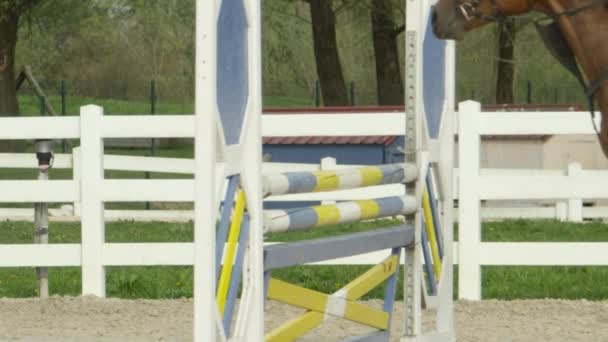 Slow Motion Närbild Detalj Hästen Ben Hoppa Över Färgglada Stolpar — Stockvideo