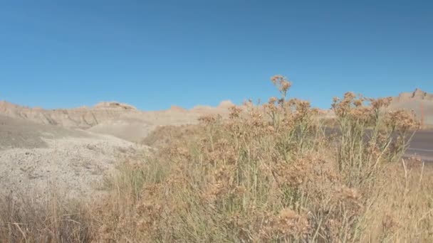 Route vide menant à travers un paysage infini de Badlands avec des formations rocheuses de grès. Route vide traversant le magnifique désert du parc national des Badlands dans le Dakota du Sud .