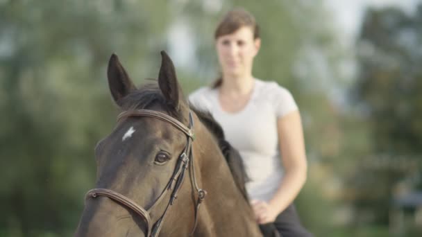 Slow Motion Close Dof Beautiful Brown Horse Out Focus Rider — Stock Video