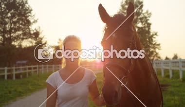 Dof yavaş yakından: Okşayarak ve onu muhteşem altın ışık yaz gün batımında okşuyordu onun güzel koyu kahverengi aygır tarafından dizginleri at ahır çiftlikte, önde gelen neşeli sarışın kız portresi