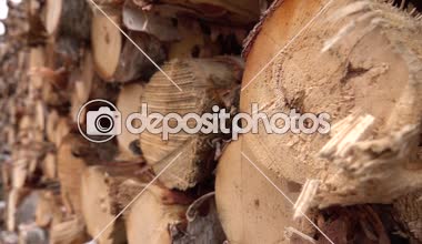Kadar yakın, Dof: Büyük büyük woodpile kusursuz Kazıklı yakacak odun yığını detay. Terbiyeli sonra mükemmel yığılmış parke. Kereste içinde depolanan büyük kesilen, doğranmış ve sawed ağaç gövdeleri