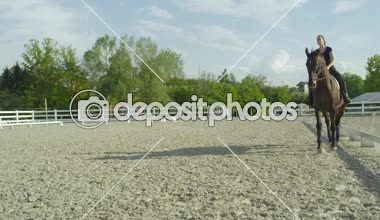 Ağır çekim yakın çekim: açık sürme arenada güneşli bahar gününde paça güzel koyu kahverengi iğdiş edilmiş hayvan. Kadın binici Binicilik çarpıcı at kumlu paddock adlı kırsal çiftlik tırıs gidiyor