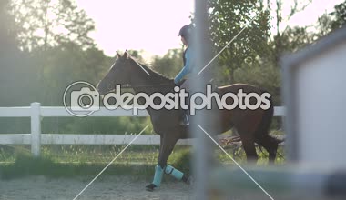 Ağır çekim yakın çekim: güzel kestane mare açık sürme arenada güneşli yaz tatil sırasında genç kız binicilik. Kumlu modacı ağıl içinde paça bir çocuk binici ile at