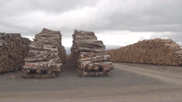 无数平行行的完美堆积的日志 Woodpiles 沿碎石路 木树干在森林边缘的大栈 准备和砍伐木材木柴全景 — 图库视频影像