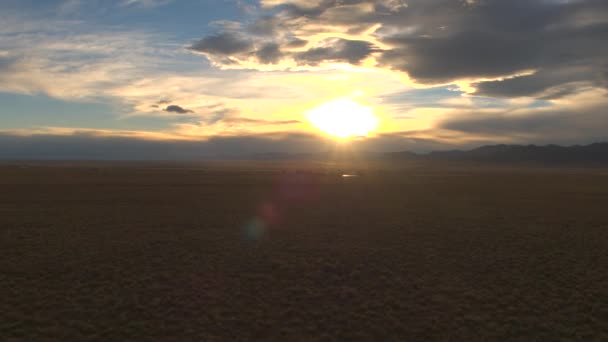 Luchtfoto Vliegen Boven Uitgestrekte Gras Veld Dramatische Gouden Licht Zonsondergang — Stockvideo