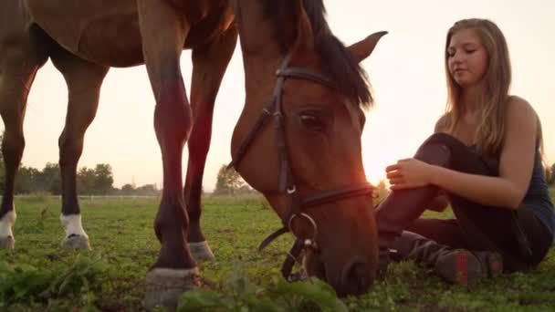 Lassú Mozgás Close Szép Mosolygó Lány Földön Mellett Egy Legelésző — Stock videók