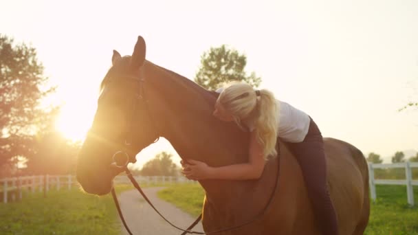 Zeitlupe Großaufnahme Dof Hübsches Blondes Mädchen Reitet Wunderschönen Dunkelbraunen Wallach — Stockvideo