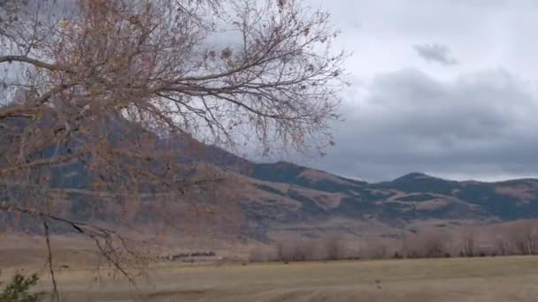 Vast Grassy Flatlands Steep Hilly Slope Rising Wrinkled Snowy Mountains — Stock Video